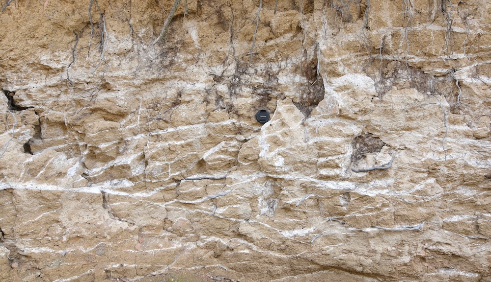 Calcretas laminares en la pared de un canal del laberinto. En realidad son láminas de carbonato cálcico expuestas al ser cortadas por el “cuchillo” de la red de drenaje. Imagen de Javier Pérez Tarruella.