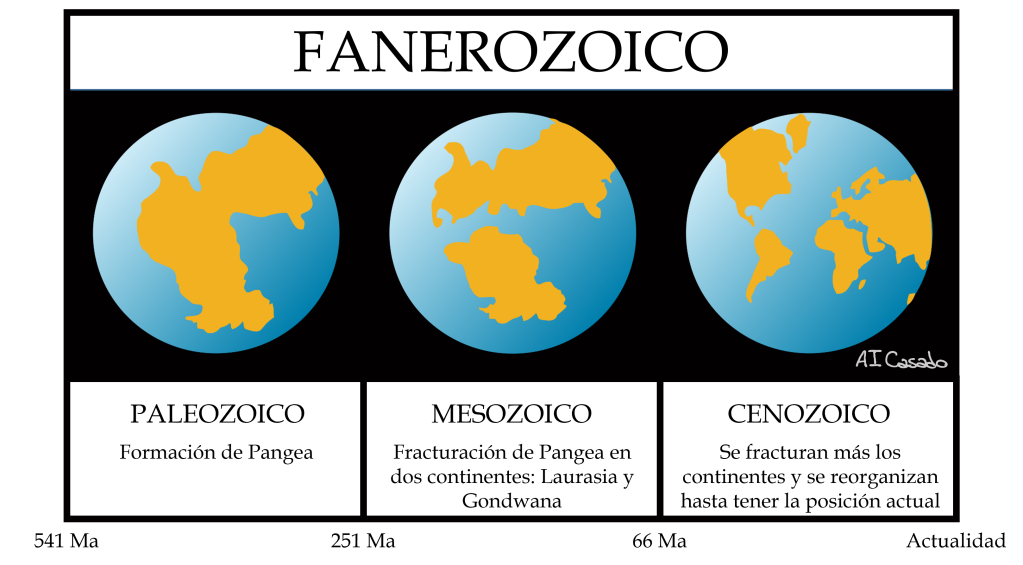 Figura 8. División de la eón Fanerozoico en las eras Paleozoico, Mesozoico y Cenozoico en función de la tectónica continental. 